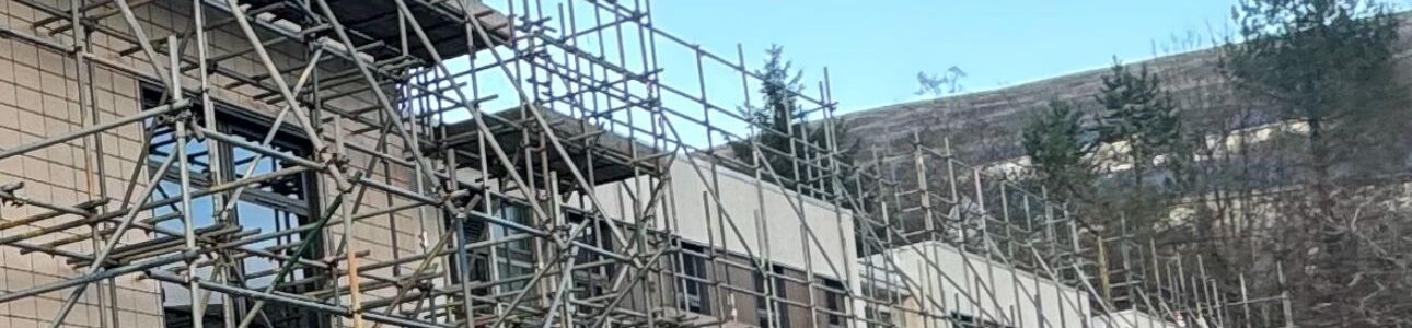 Public sector scaffolding.